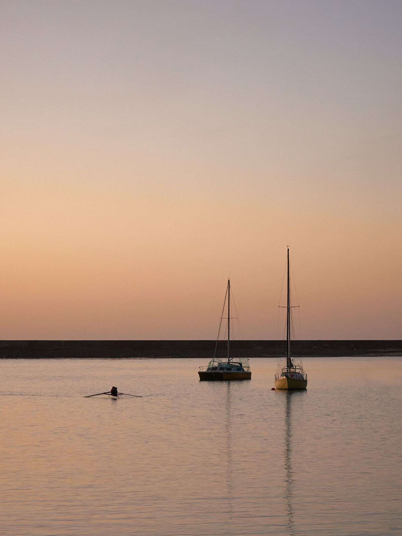 Rower on calm harbour water at dawn