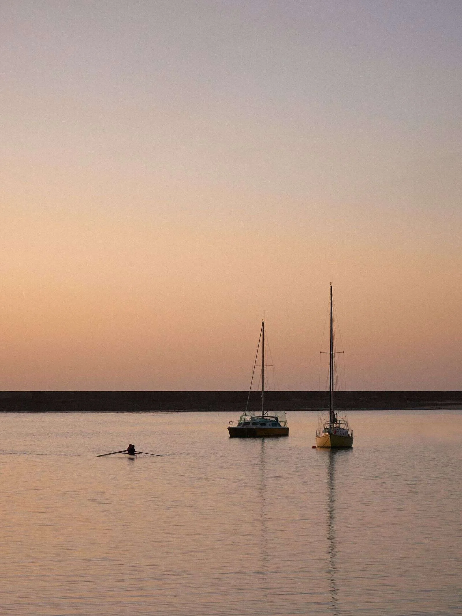 Rower on calm harbour water at dawn